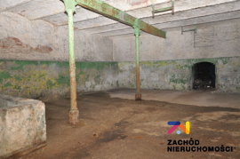 Zabytkowe Podziemia Nieopodal Zamku W Żarach